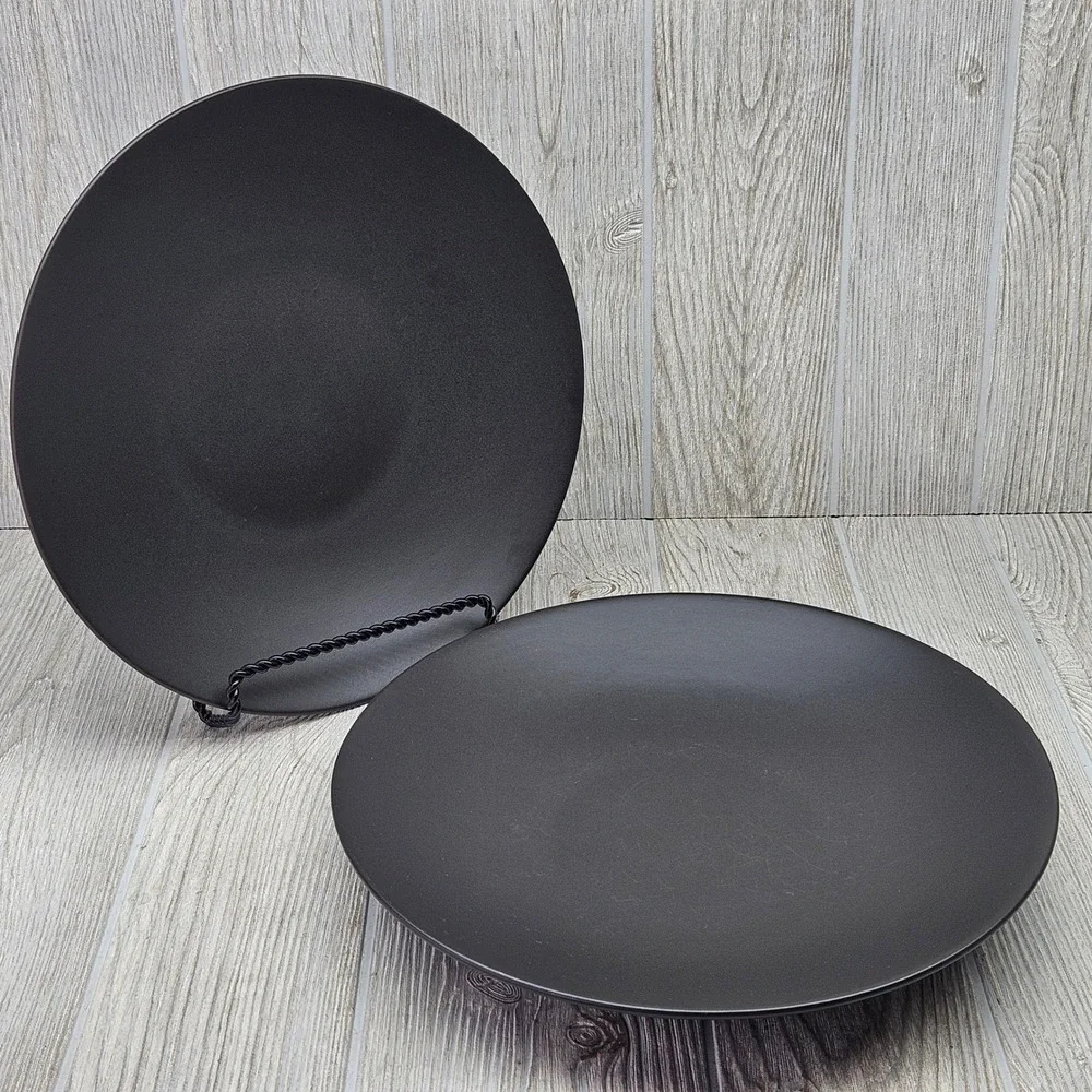 Furio Home Worldview Onyx Thailand Matte Black Large Dinner Plates Set of 2